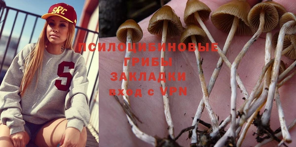сатива Алзамай