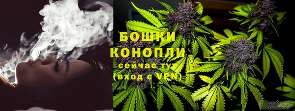 гидра Абаза