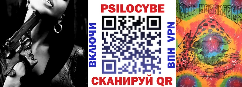 Псилоцибиновые грибы Psilocybine cubensis  Архангельск 