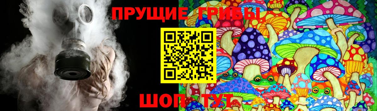 Архангельск  наркота  Вход с VPN  Псилоцибиновые грибы мицелий 